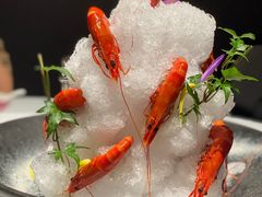 花雕醉黑虎虾-广舟(千禧店)