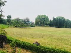 -福建鲤鱼洲酒店