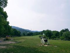 -雨花胜境