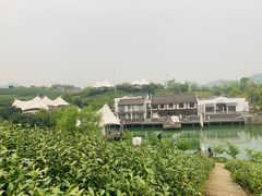 -帐篷客·溪龙茶谷度假酒店