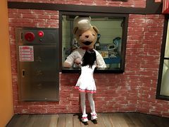 -济州岛泰迪熊博物馆