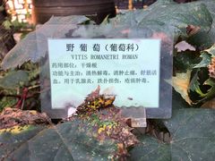 -杭州胡庆余堂第二中医门诊部