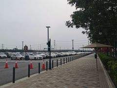 -迪士尼乐园停车场