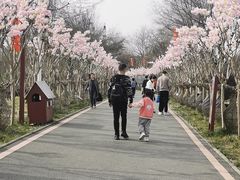 -武汉紫薇都市田园