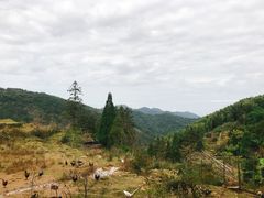 -永泰中国云顶