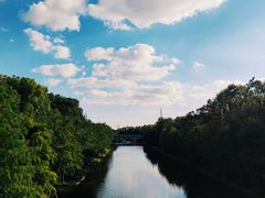 -上海海湾国家森林公园