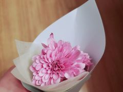 -小苍兰风铃草蛋糕甜品(沈阳店)
