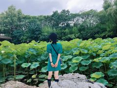 -合肥三国新城遗址公园