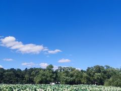 -长春市南湖公园