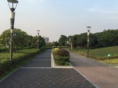 -立新湖公园