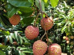-南平静修小镇水芳阁餐厅