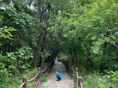 -阳台山自然风景区