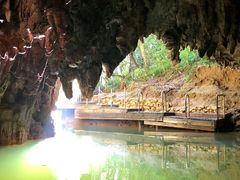 -怀托摩萤火虫洞