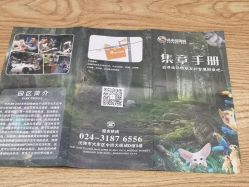 -未来动物城动物主题公园(大悦城店)