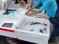 -鸿港海鲜批发市场