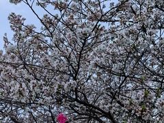 -堤角公园