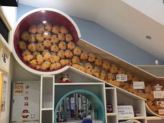 -极橙儿童齿科矫正中心(奥城店)