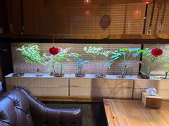 -望京一号·重庆江湖菜(工体店)
