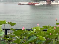 -后海公园