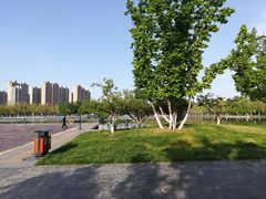 -五环公园