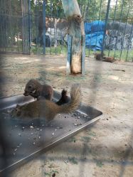 -萌宠亲子动物乐园(槐房万达店)