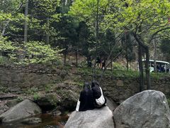 -信阳灵山风景区