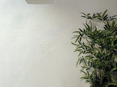 -乔曰Qiao Yue·茶咖局