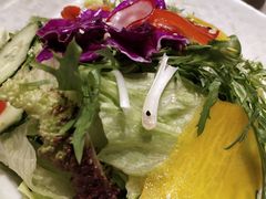 -骏莱海鲜鱼港(五角场店)
