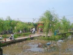 -同銮特种养殖场·龙虾垂钓