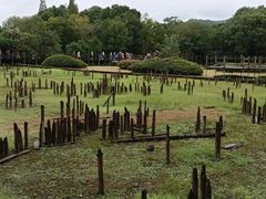 -河姆渡遗址博物馆