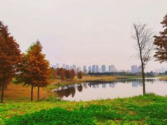 -洋湖国家湿地公园