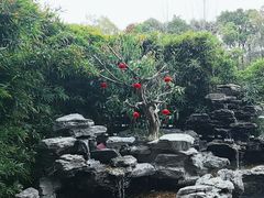 -观宴·品质赣菜(高新大道店)