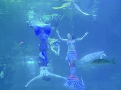 -福州罗源湾海洋世界旅游区
