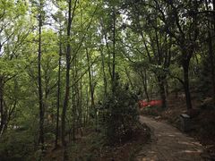 -虞山风景区