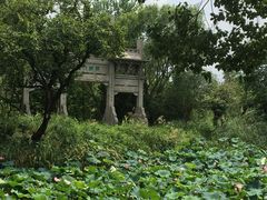 -西溪国家湿地公园