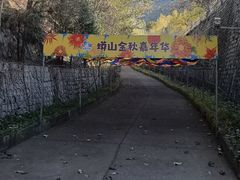 -北京十三陵国家森林公园蟒山景区
