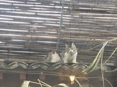 -METAL HANDS(五道营店)