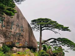 -黄山风景区