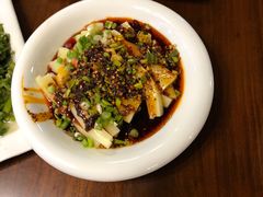 -龙翔山庄雷鸡肉(青城后山泰安古镇店)