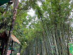 -海南热带野生动植物园
