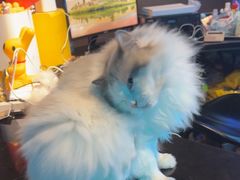 -暗楼·剧本杀·桌游