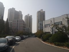 -山东外贸职业学院