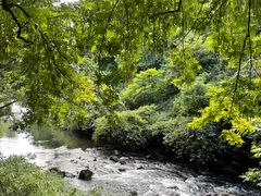 -阿哈湖国家湿地公园