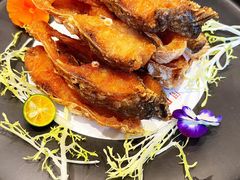 -阿庄新豫菜(南龙湖店)