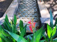 -苏州河梦清园环保主题公园