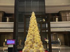 -舟山希尔顿酒店