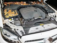 -天猫养车贴膜轻改·蓝电(优匹康桥东路店)