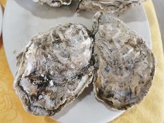 -蚝专家(北滘店)