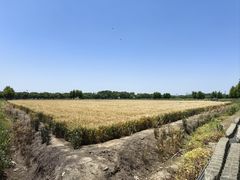 -祝甸砖窑文化馆