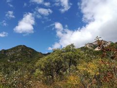 -灵山